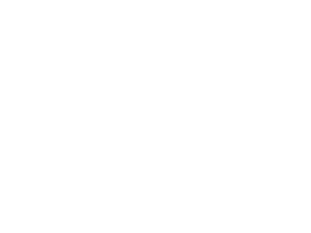 Safe Shield IT